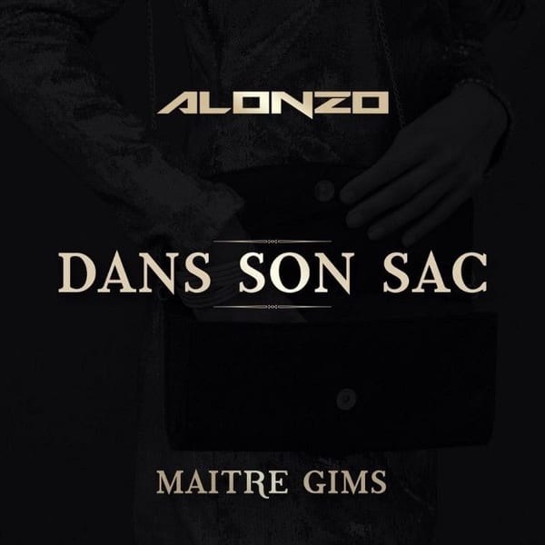 Dans son sac cover