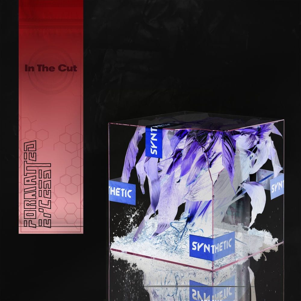 In The Cut cover