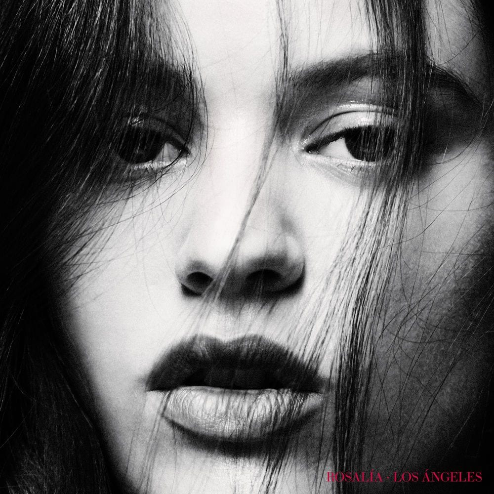 Los ángeles cover