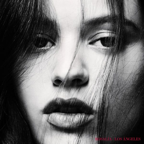 Los ángeles cover