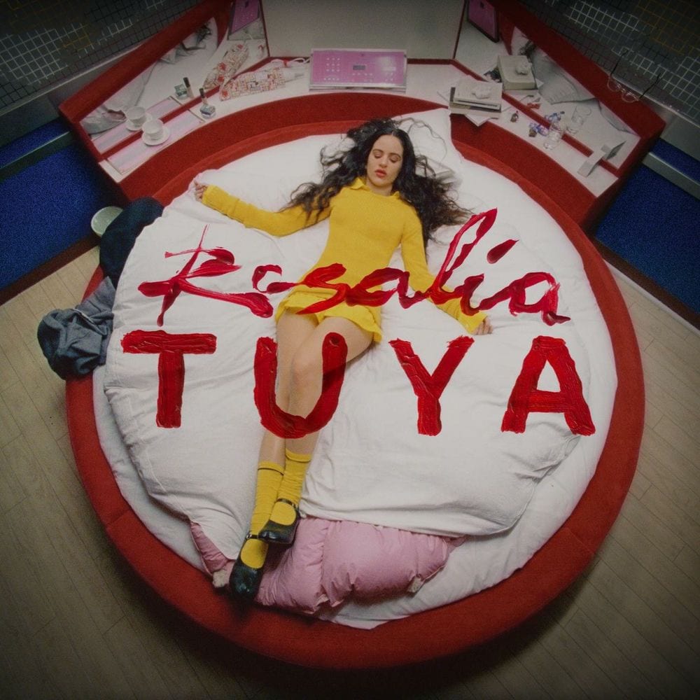 TUYA cover