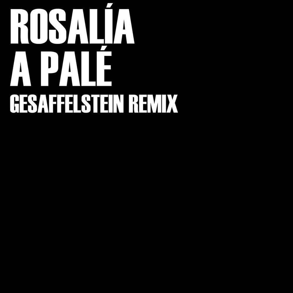 A Palé (Gesaffelstein Remix) cover