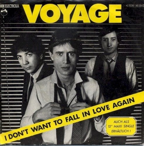 I Don't Want To Fall In Love Again cover