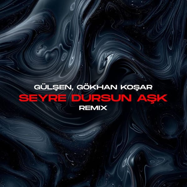 Seyre Dursun Aşk (Remix) cover