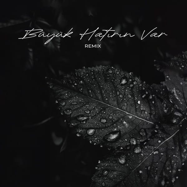 Büyük Hatırın Var (Remix) cover