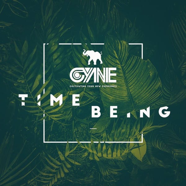 Time Being cover