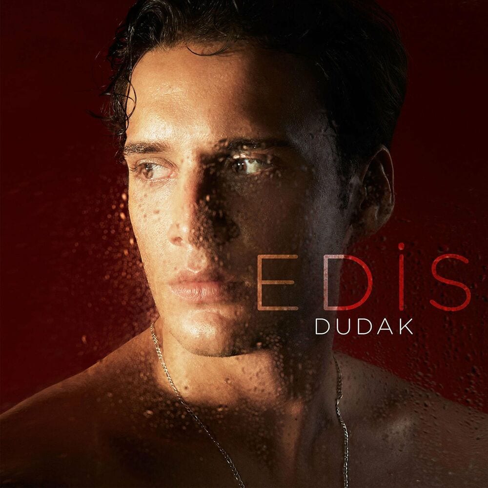 Dudak cover