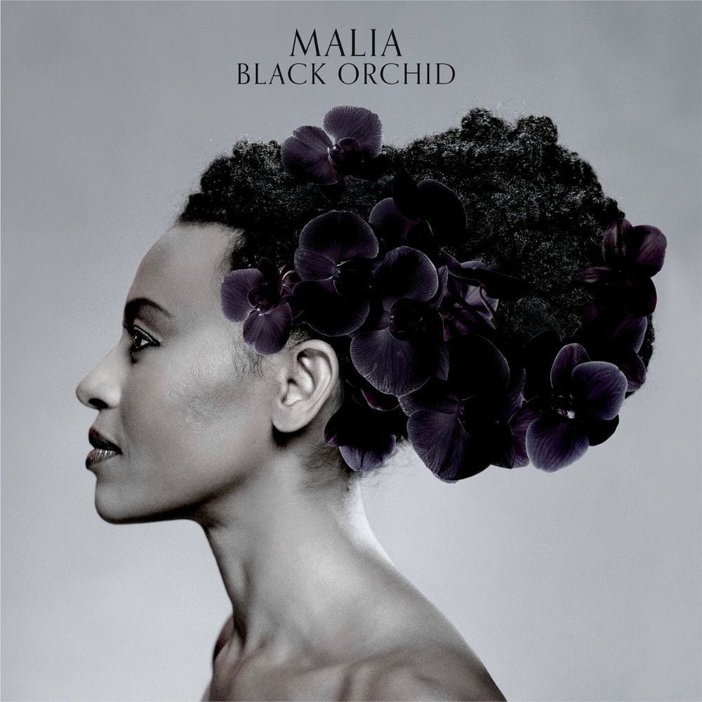 Black Orchid cover