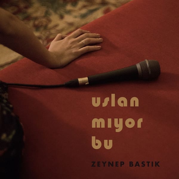 Uslanmıyor Bu album cover