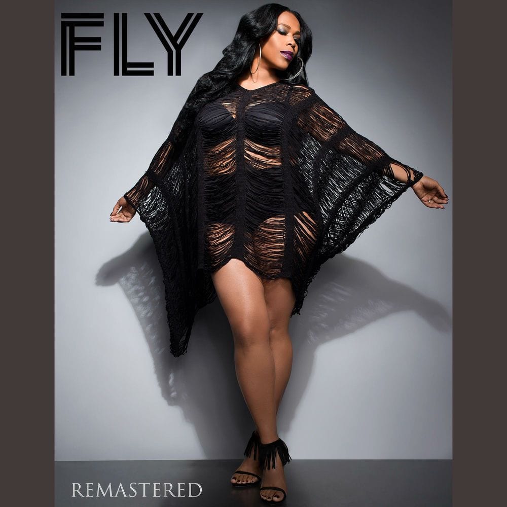 FLY REMASTERED (feat. NICCI GILBERT) cover