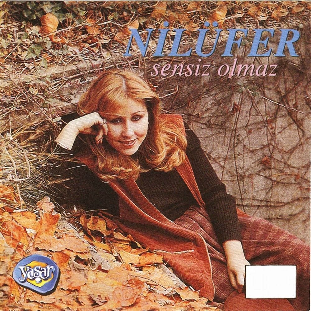 Sensiz Olmaz cover