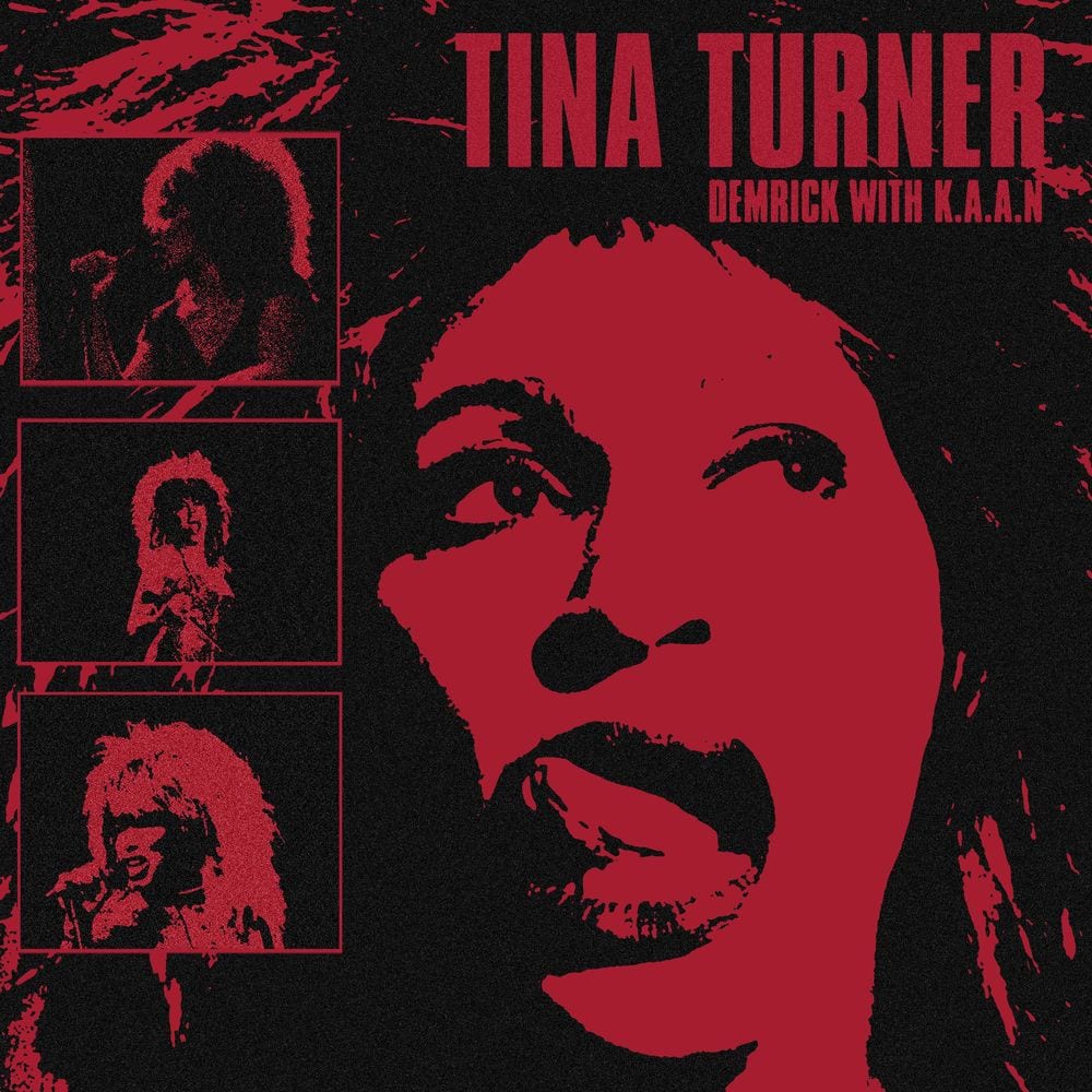 Tina Turner cover