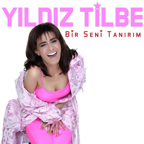 Bir Seni Tanırım cover