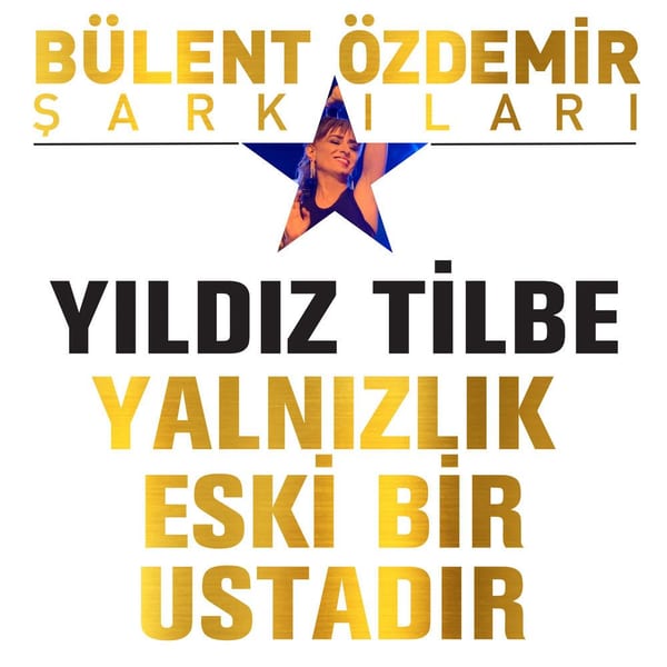 Yalnızlık Eski Bir Ustadır cover