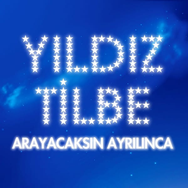 Arayacaksın Ayrılınca cover
