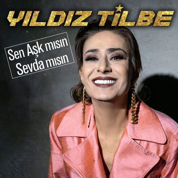 Sen Aşk mısın Sevda mısın cover