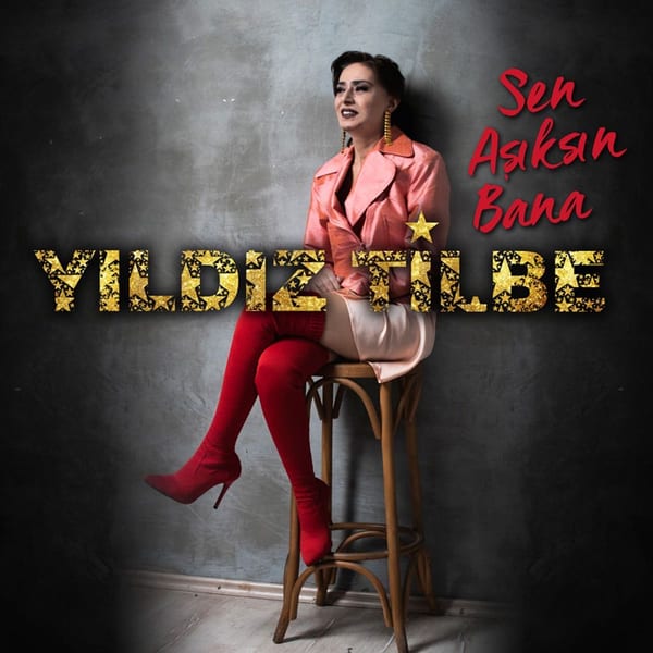 Sen Aşıksın Bana cover