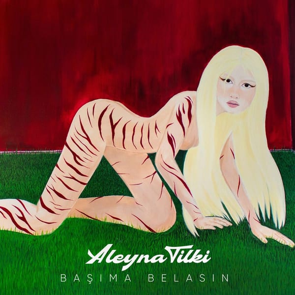 Başıma Belasın album cover