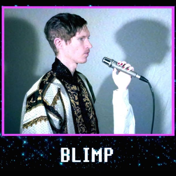 Blimp cover