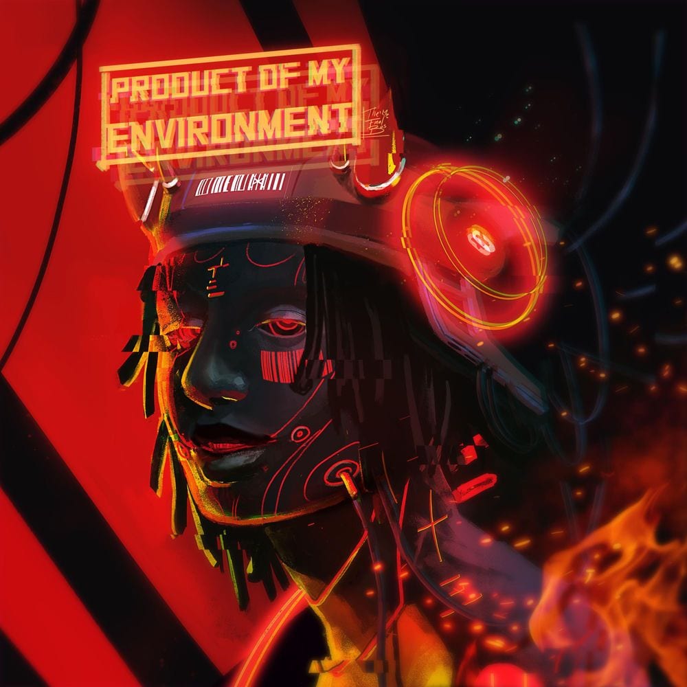 PRODUCT OF MY ENVIRONMENT cover