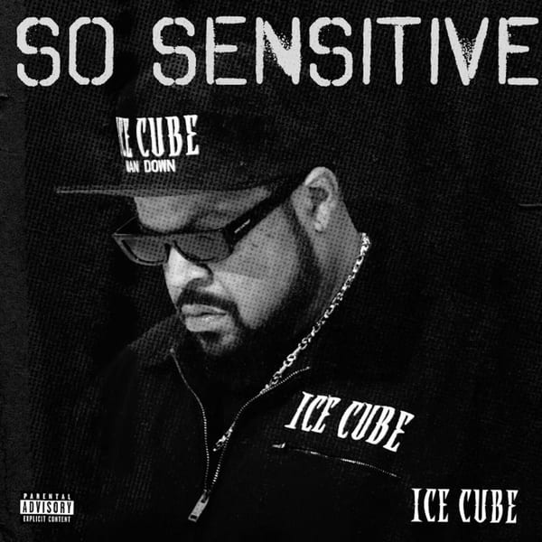 So Sensitive cover