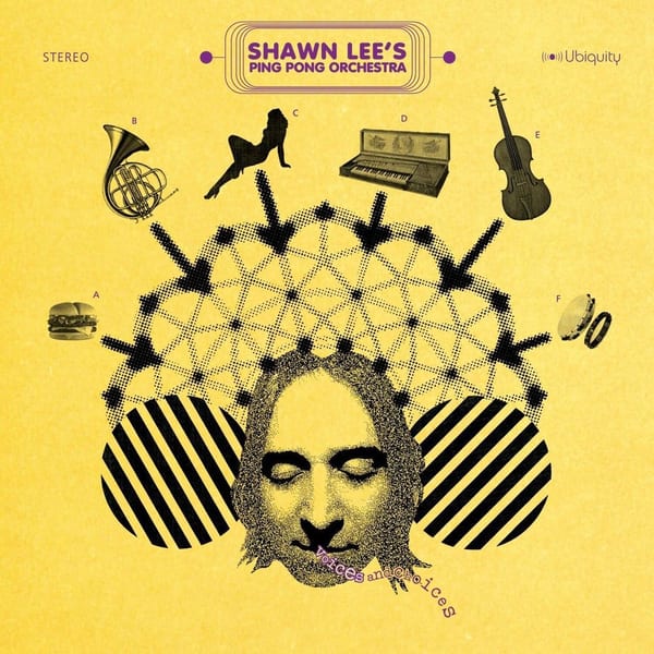 Voices and Choices cover