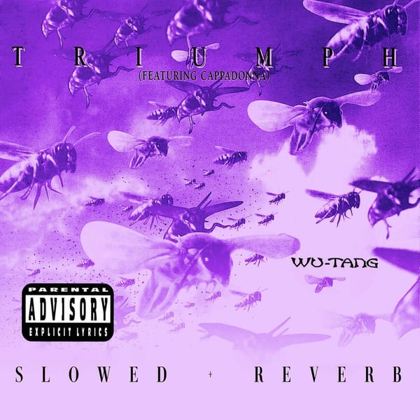 Triumph (feat. Cappadonna) (slowed + reverb) cover