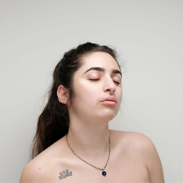 Pleaser cover