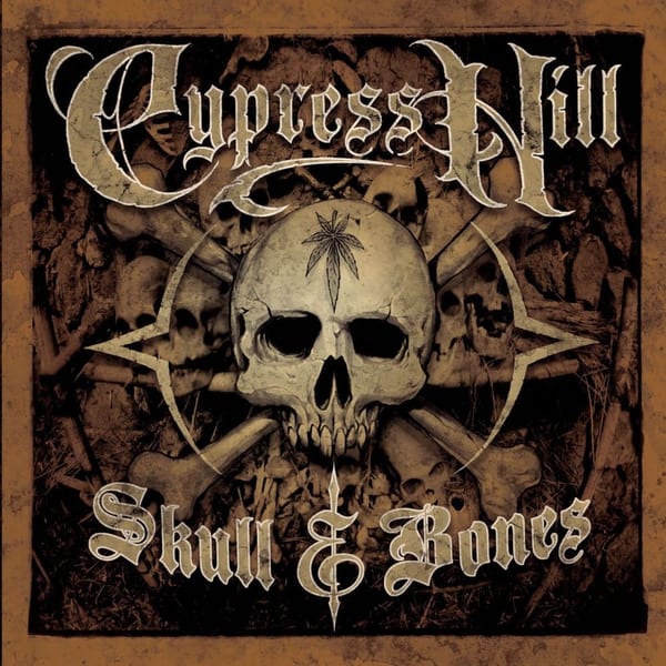 Skull & Bones cover