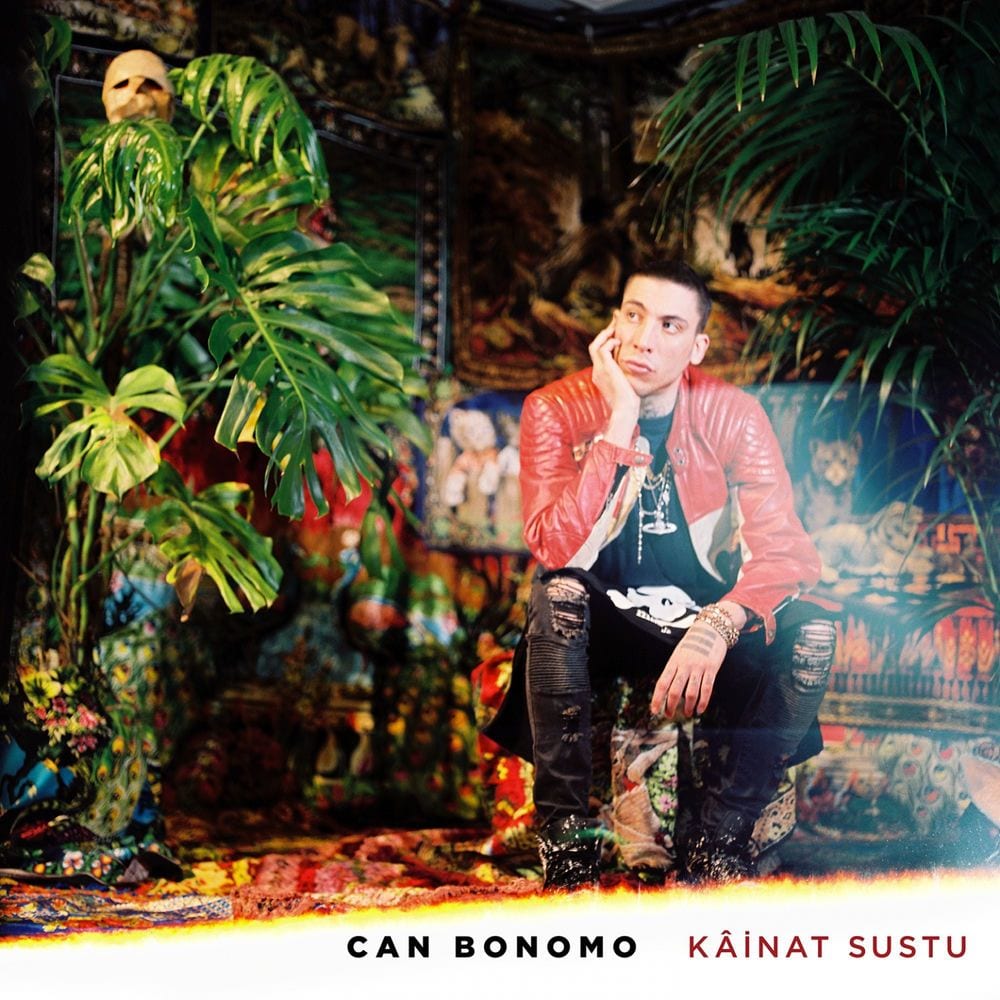 Kâinat Sustu cover