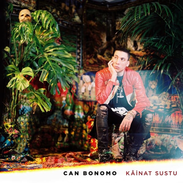 Kâinat Sustu cover