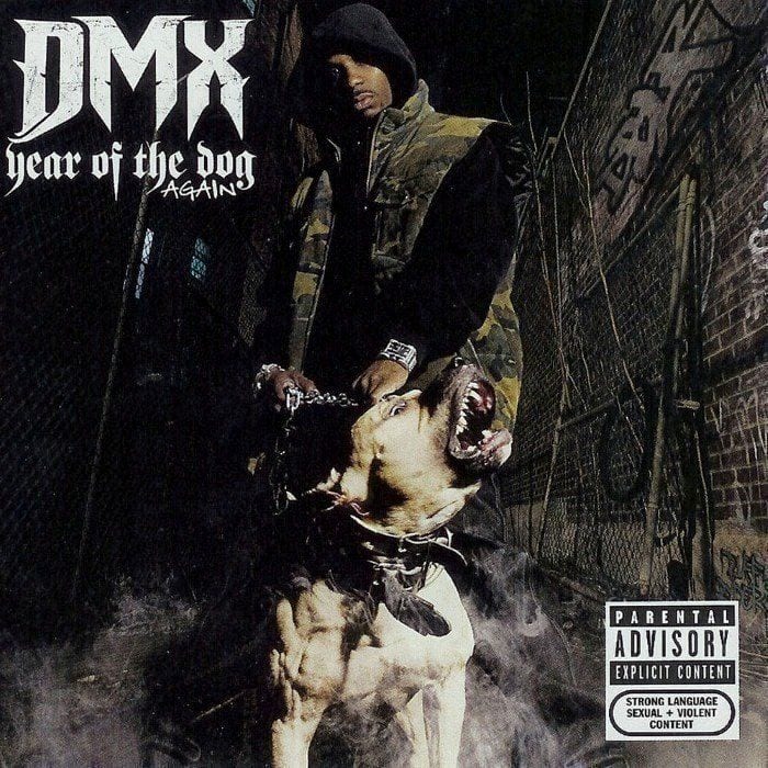 Year of the Dog... Again cover