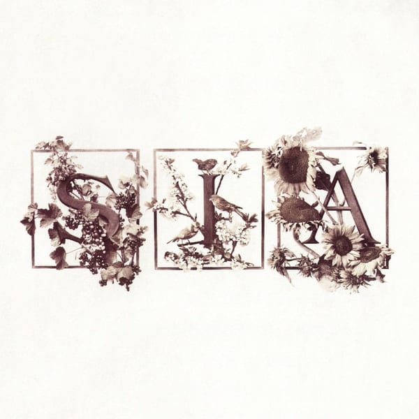 Colour the Small One cover