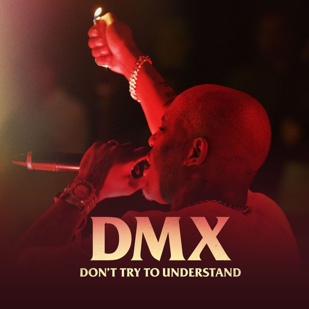DMX: Don't Try to Understand cover