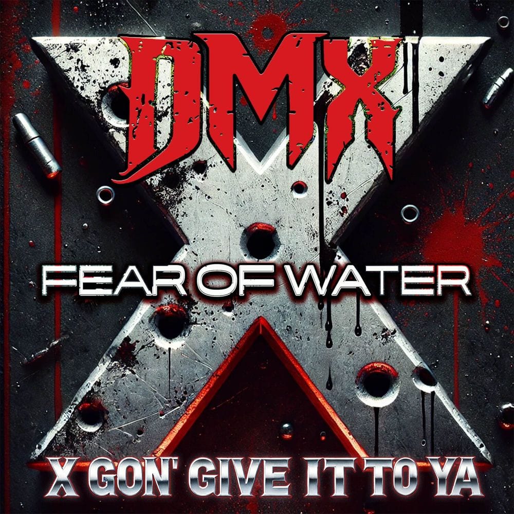 X Gon' Give It To Ya cover