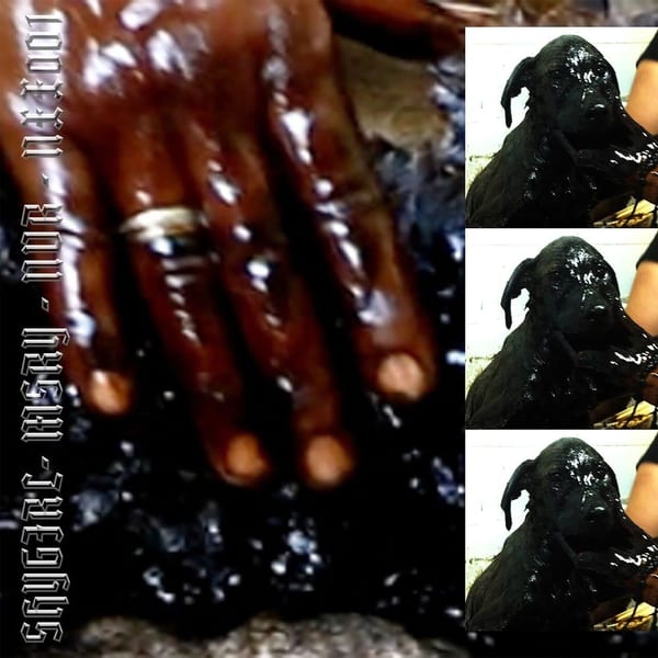 MSRYNVR cover