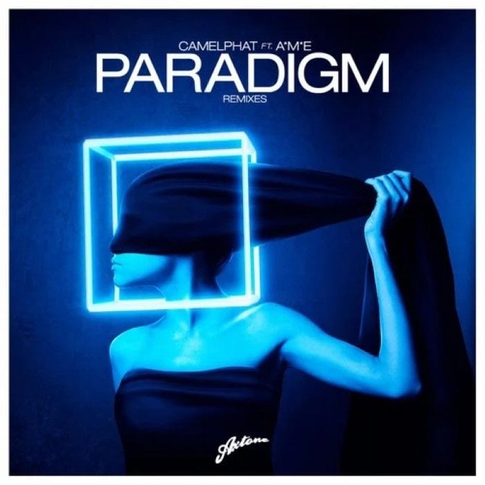 Paradigm cover