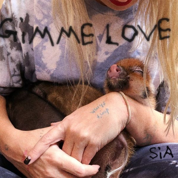 Gimme Love cover