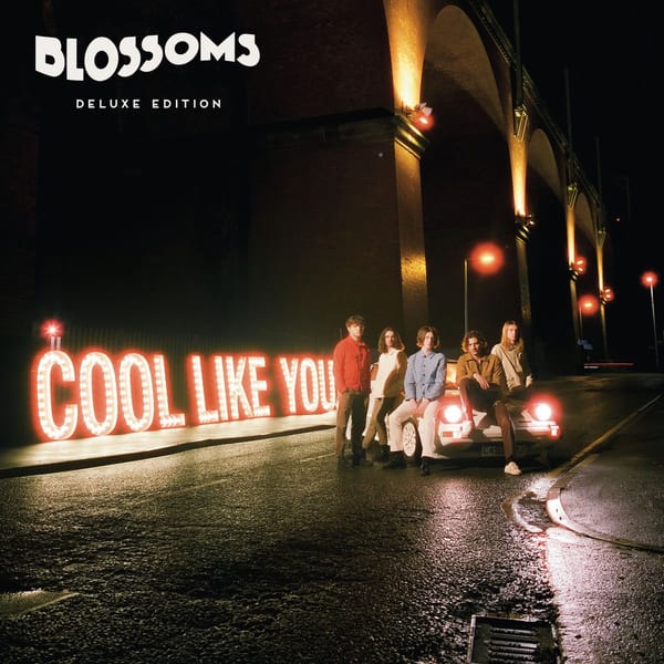 Cool Like You cover