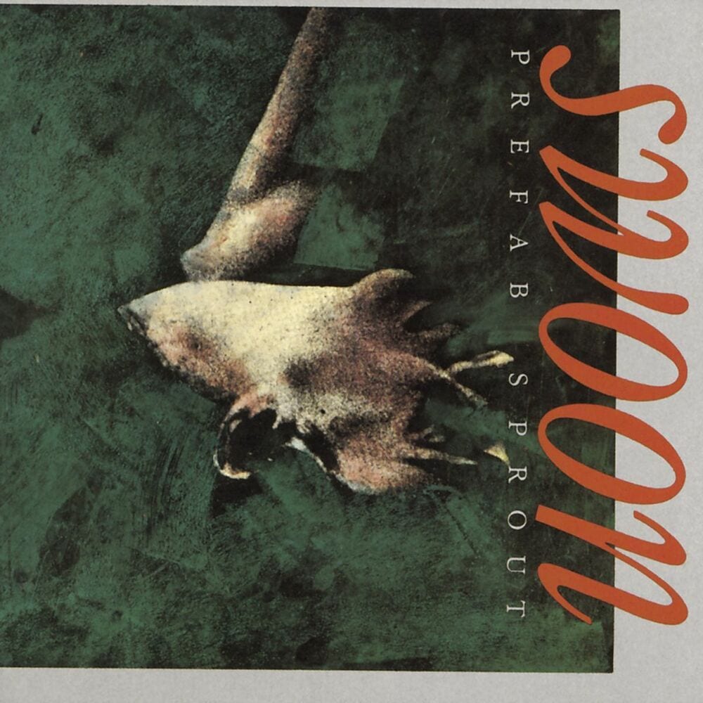 Swoon cover