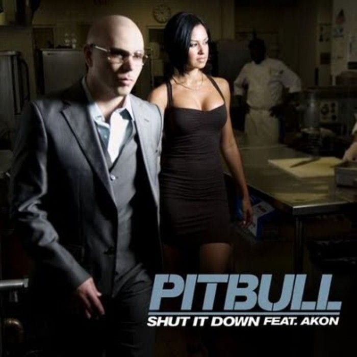 Shut It Down cover
