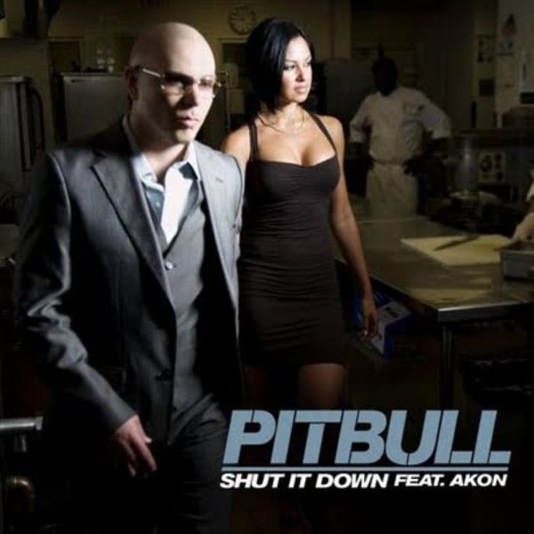 Shut It Down cover