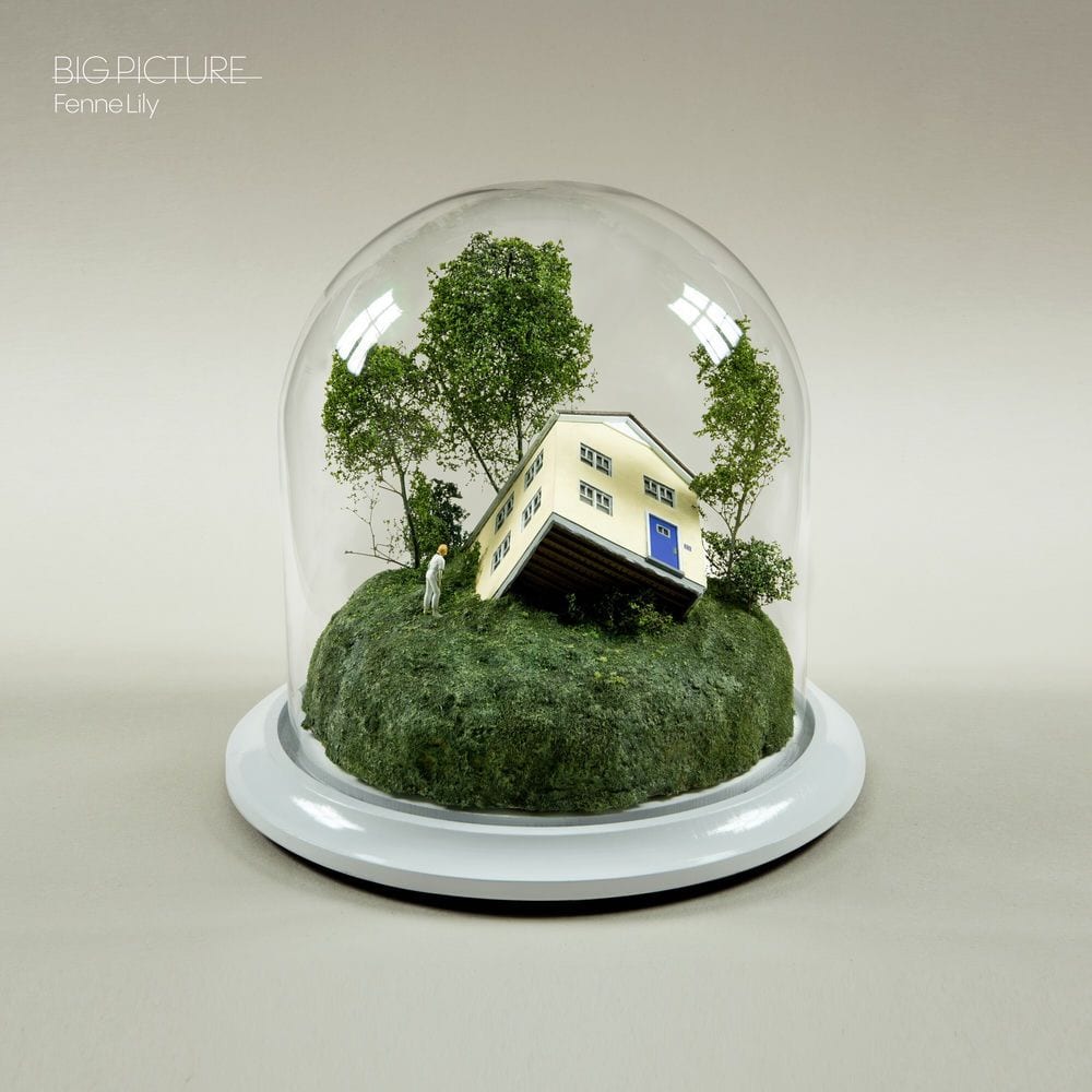 Big Picture cover