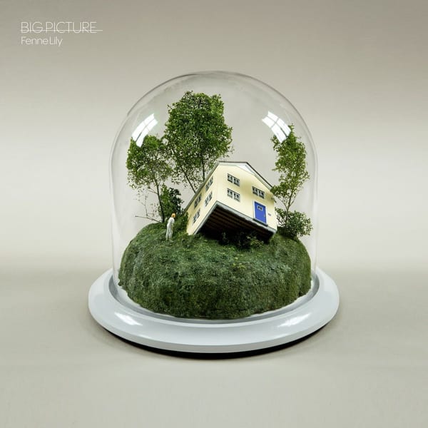 Big Picture cover
