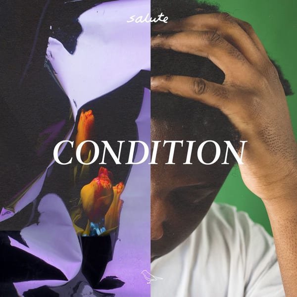 Condition cover