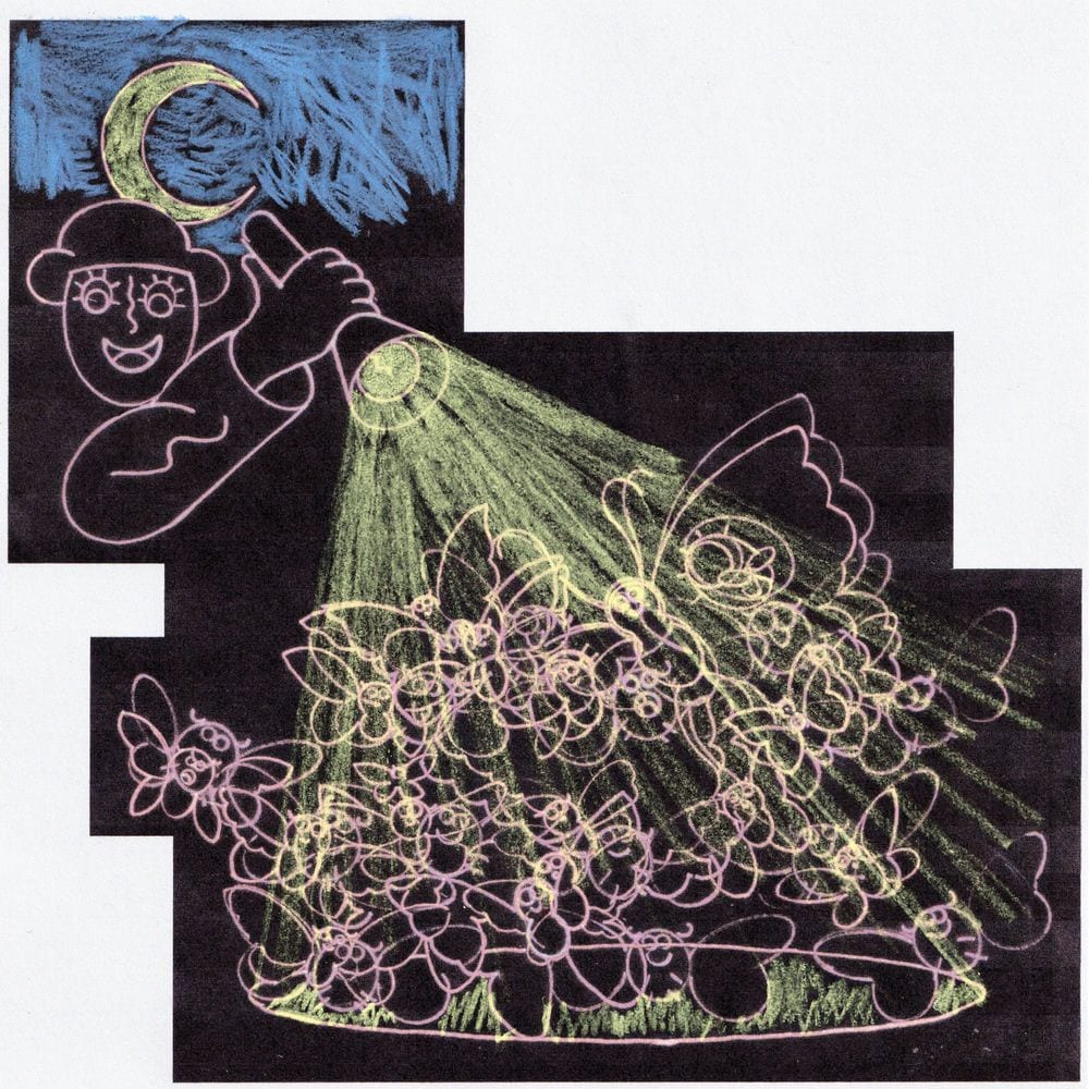 Moth Love album cover