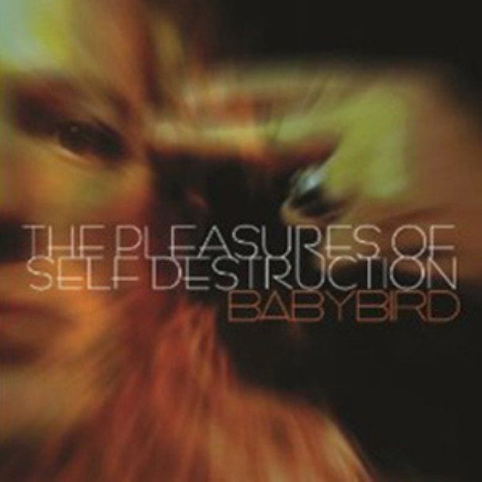 The Pleasures of Self Destruction cover