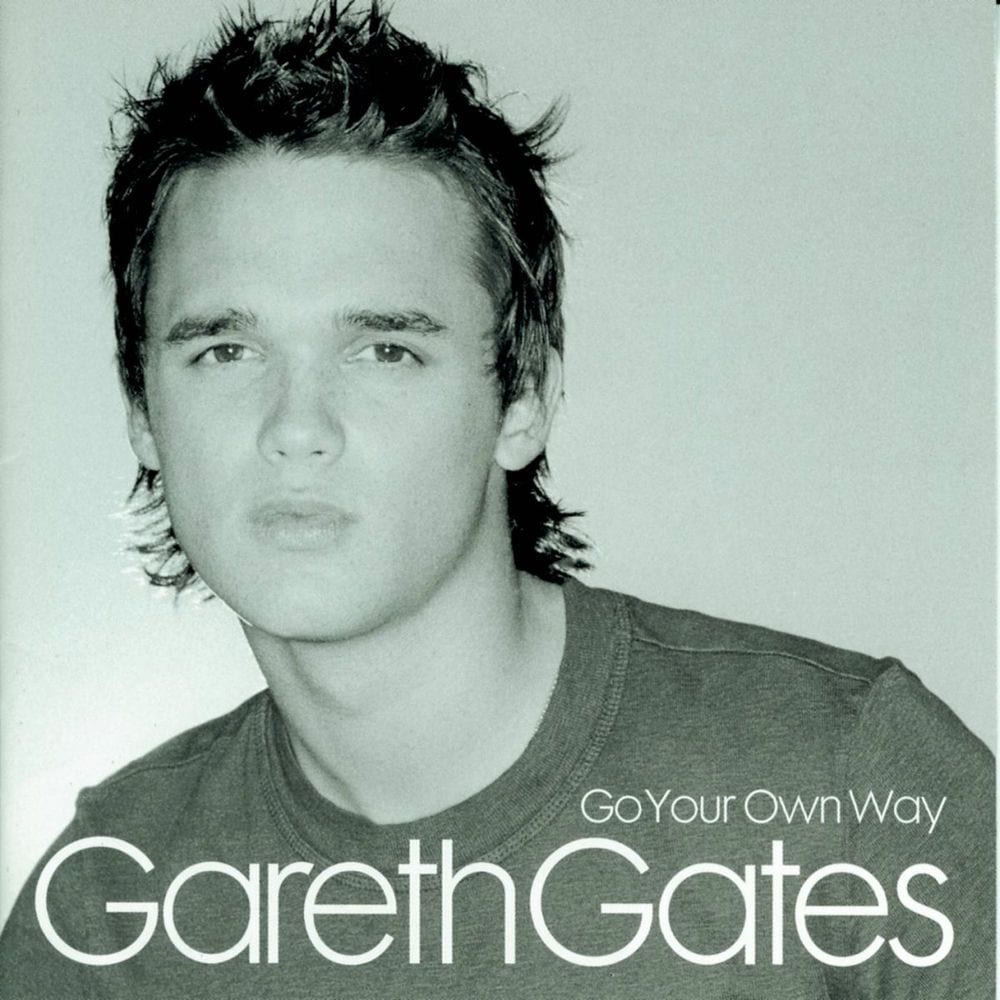 Go Your Own Way cover