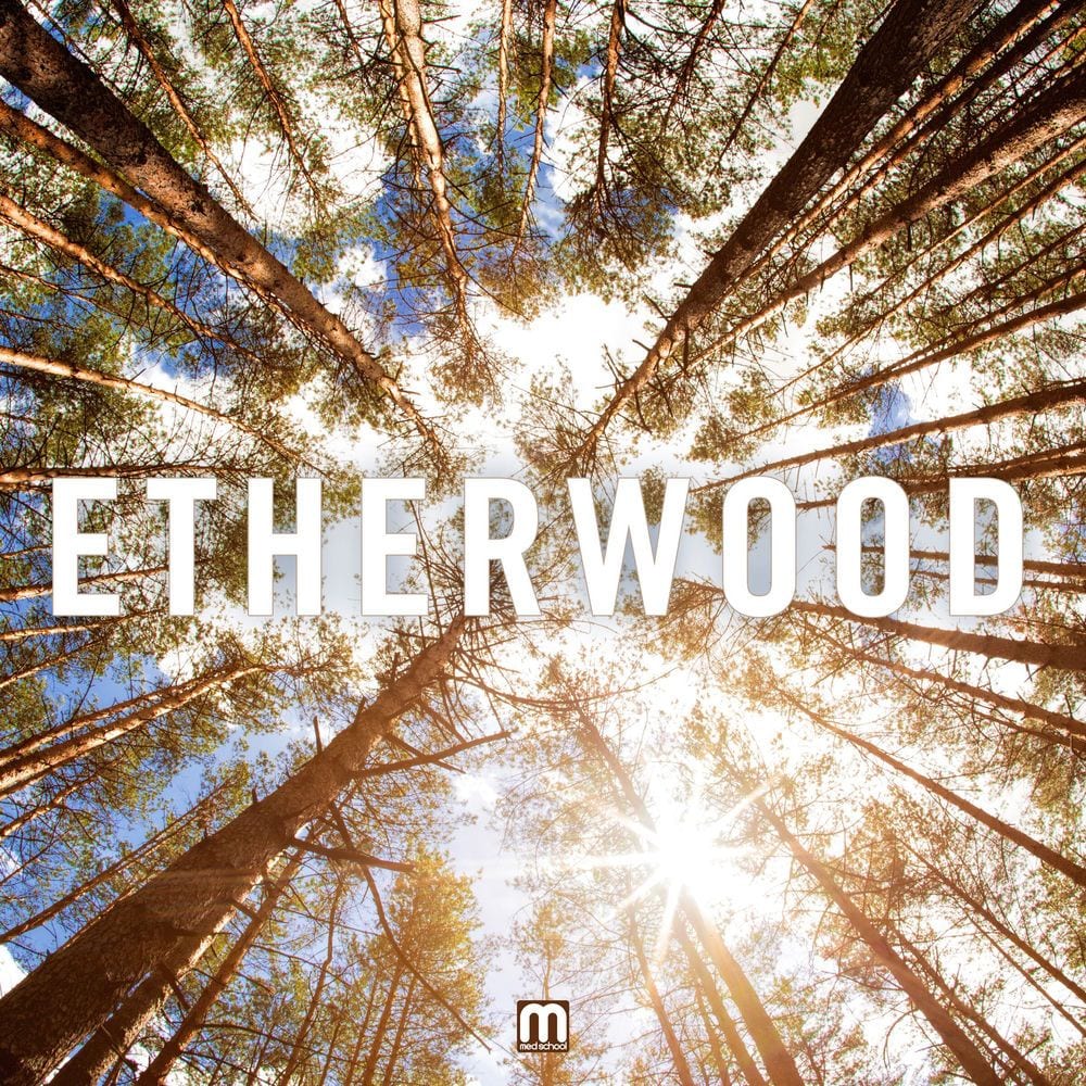 Etherwood cover