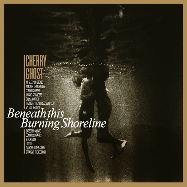 Beneath This Burning Shoreline cover